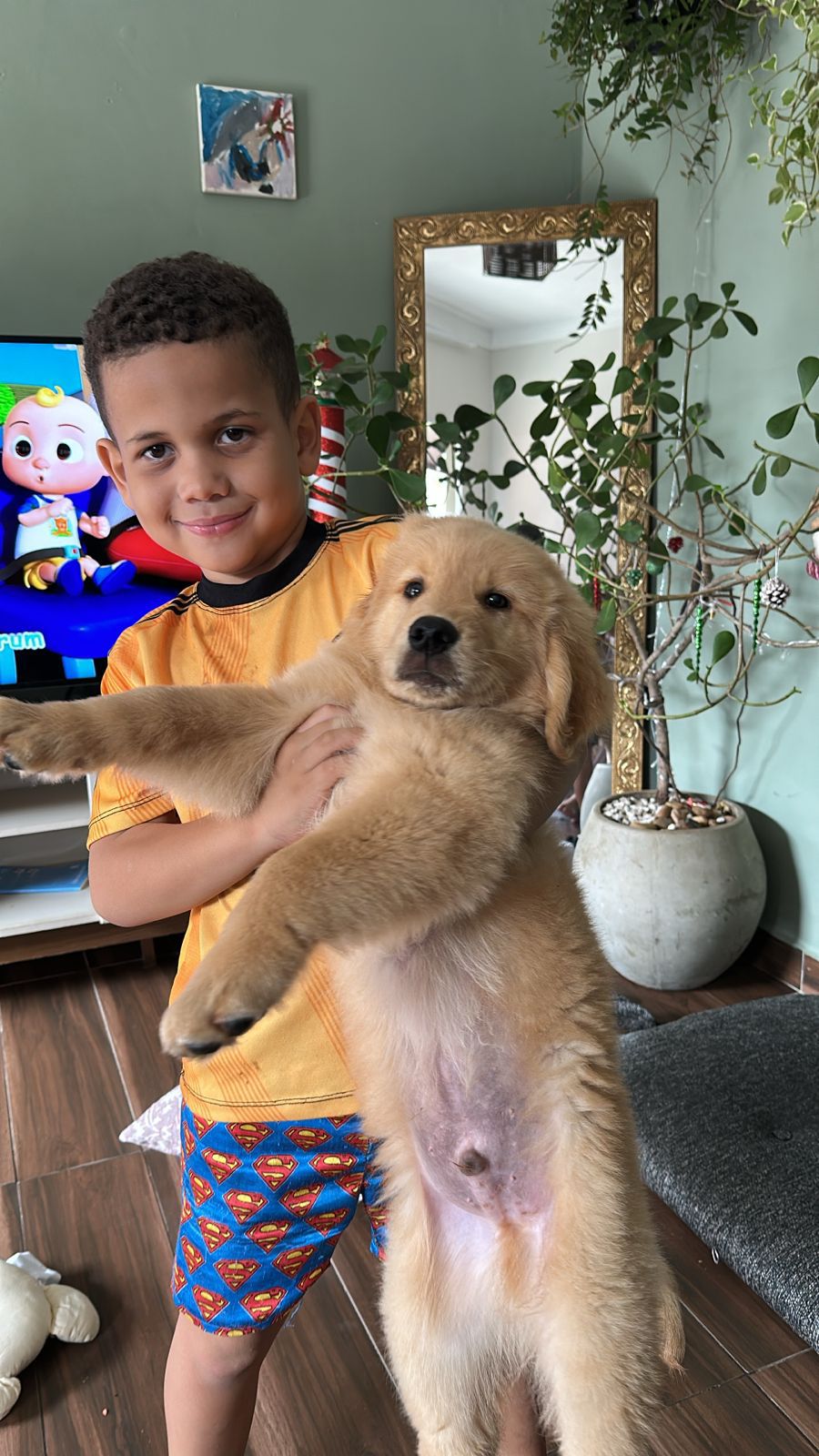 WhatsApp Image 2026-01-17 at 10.12.23 (1)