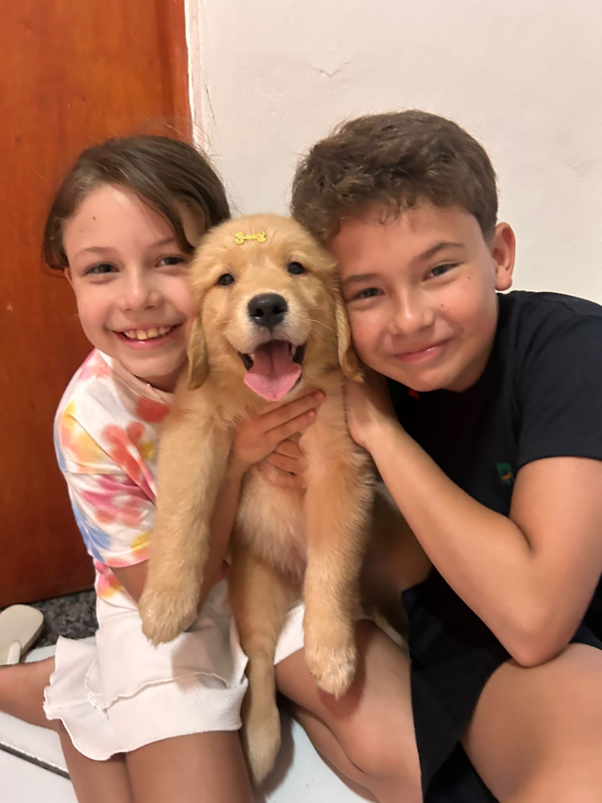 WhatsApp Image 2026-01-17 at 10.12.25