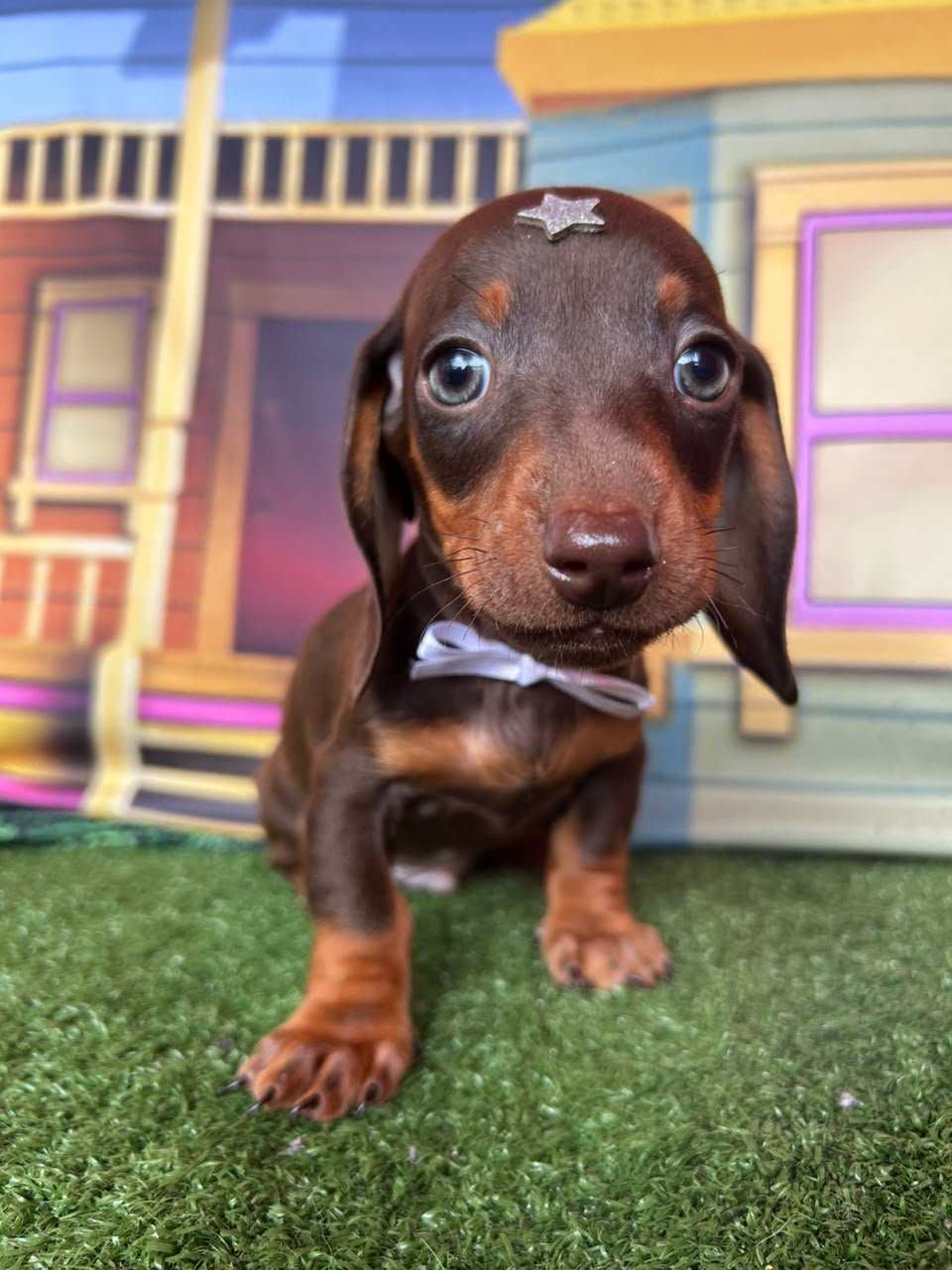 WhatsApp Image 2026-09-13 at 09.21.58